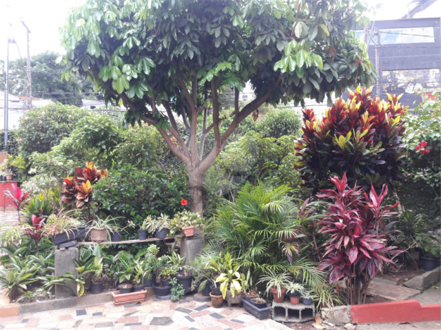 Terreno à venda com 2 quartos em Tremembé, São Paulo, SP