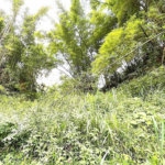 Terreno Residencial à venda, Morro de Nova Cintra, Santos - TE0034.