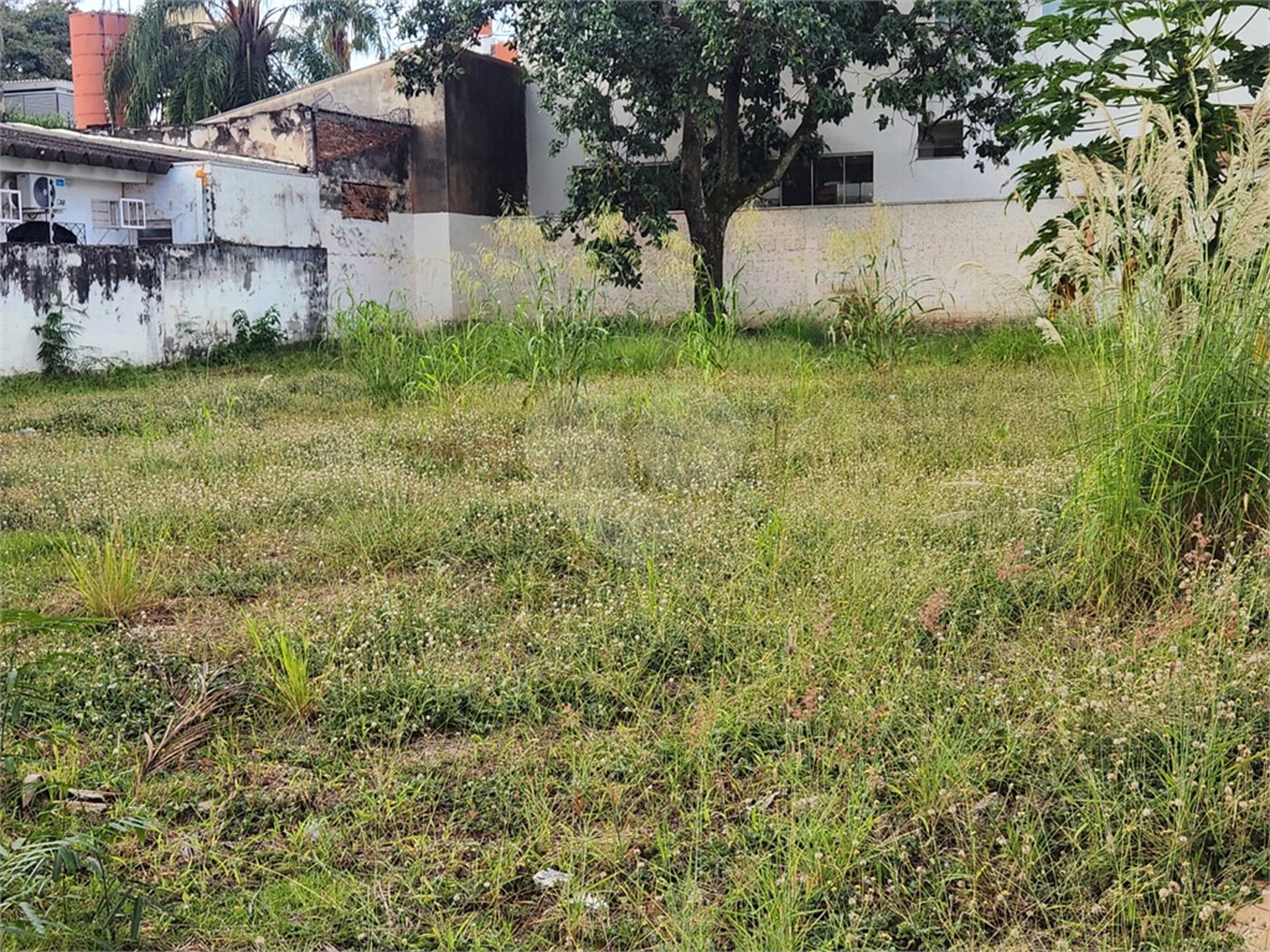 Terreno para alugar no Centro, Araraquara, SP