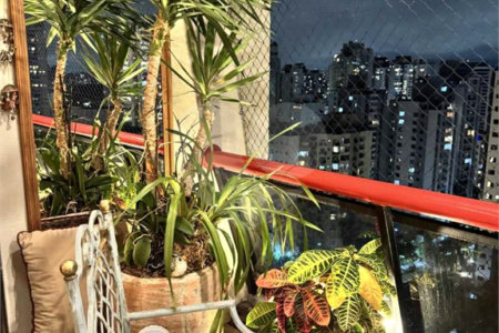 Apartamento à venda com 4 quartos, sendo 2 suítes, em Vila Mascote, São Paulo, SP
