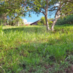 Terreno à venda em Marambaia, Vinhedo, SP