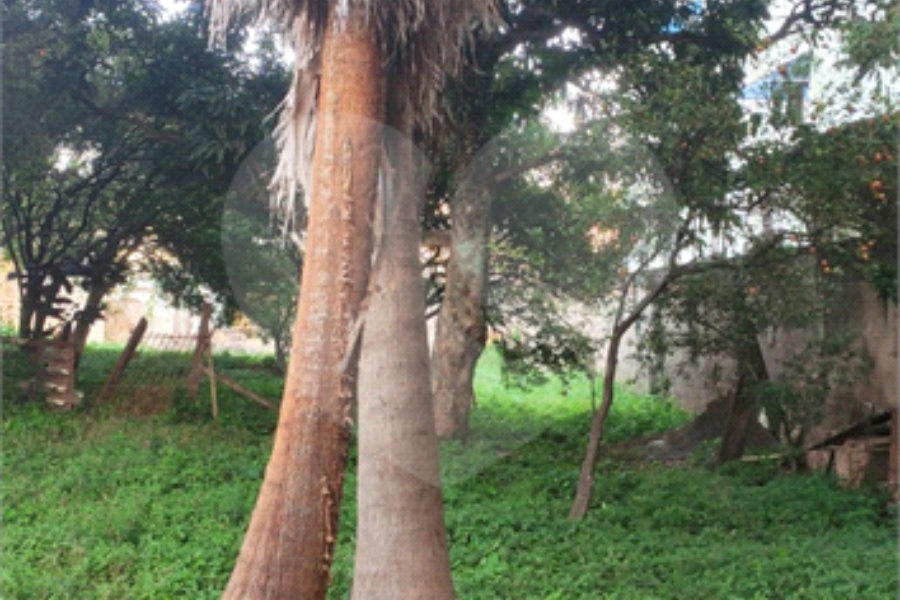 Terreno à venda com 3 quartos, sendo 1 suíte, em Imirim, São Paulo, SP