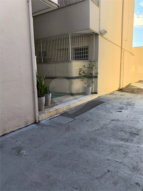 Apartamento para alugar com 1 quarto em Tucuruvi, São Paulo, SP