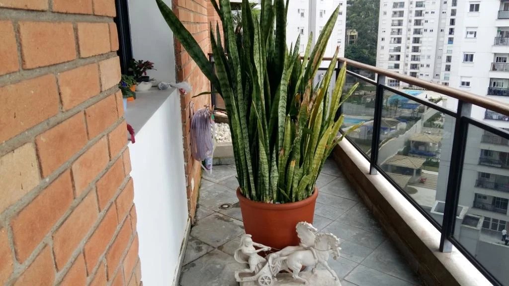 Apartamento à venda com 3 quartos, sendo 2 suítes,  em Jardim Parque Morumbi, São Paulo, SP