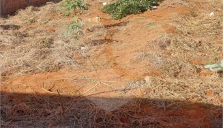 Terreno à venda em Jardim Pinheiros (vila Xavier), Araraquara, SP