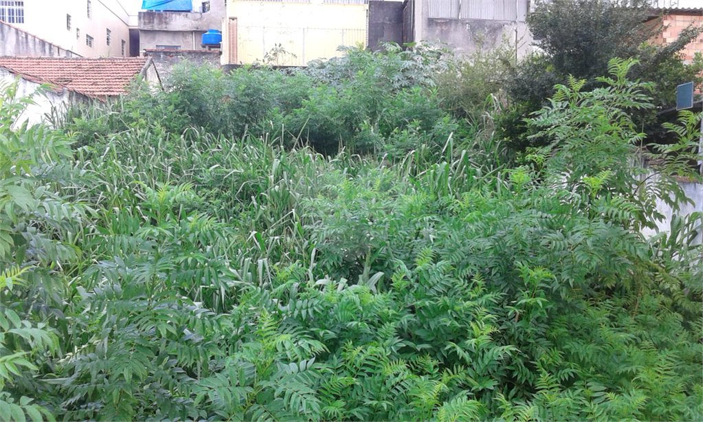 Terreno à venda em Imirim, São Paulo, SP