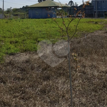 Terreno à venda em Vila Nastri, Itapetininga, SP