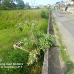 Terreno à venda em Vila Oliveira, Mogi das Cruzes, SP