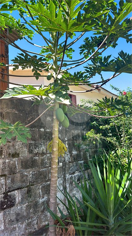 Casa para alugar com 6 quartos, sendo 3 suítes, no Centro, São Manuel, SP