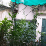 Sobrado à venda com 3 quartos, sendo 1 suíte, em Jaçanã, São Paulo, SP