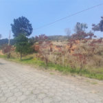 Terreno à venda no condomínio Aútria da Cantareira, Mairiporã - SP