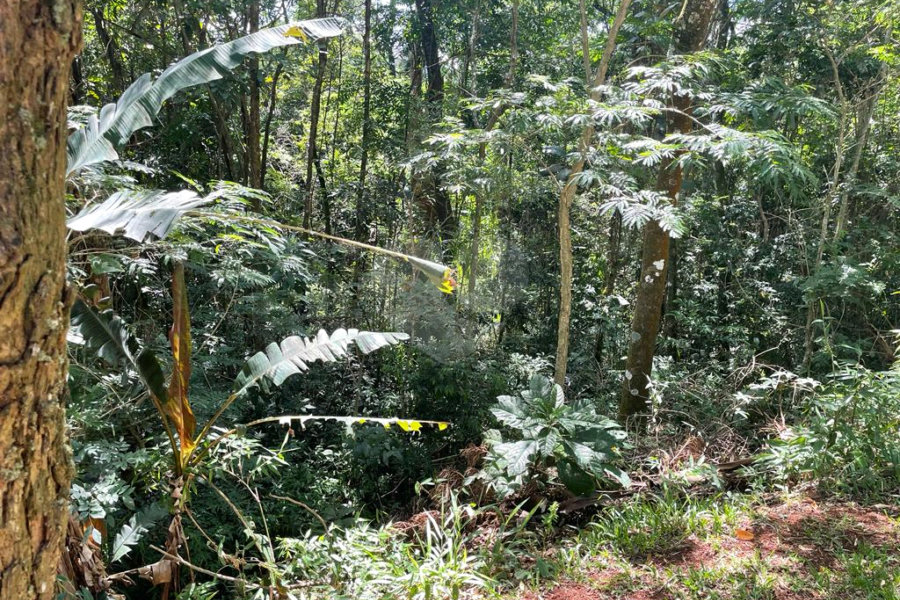 Terreno à venda no condomínio Cantareira, Mairiporã - SP