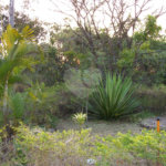 Chácara a venda no Aracê de Santo Antônio .