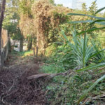 Terreno à venda em Vila Tramontano, São Paulo, SP