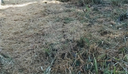 Terreno à venda em Loteamento Vale das Flores, Atibaia, SP