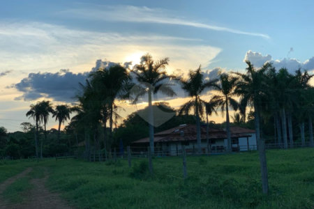 Fazenda à venda com 2 quartos em Canabrava, João Pinheiro, MG