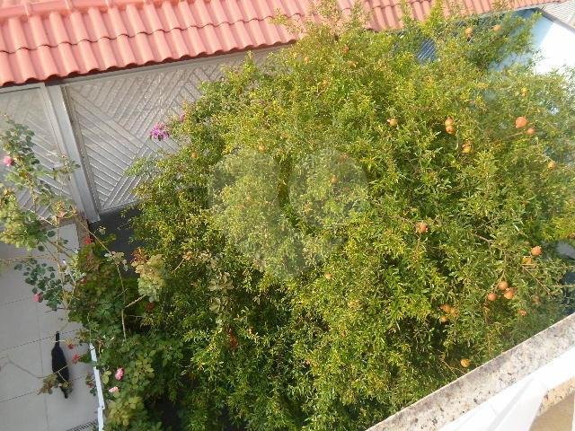 Sobrado à venda com 3 suítes em Vila Isolina Mazzei, São Paulo, SP