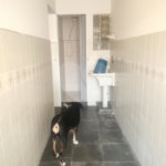 Sobrado à venda com 2 quartos em Mandaqui, São Paulo, SP