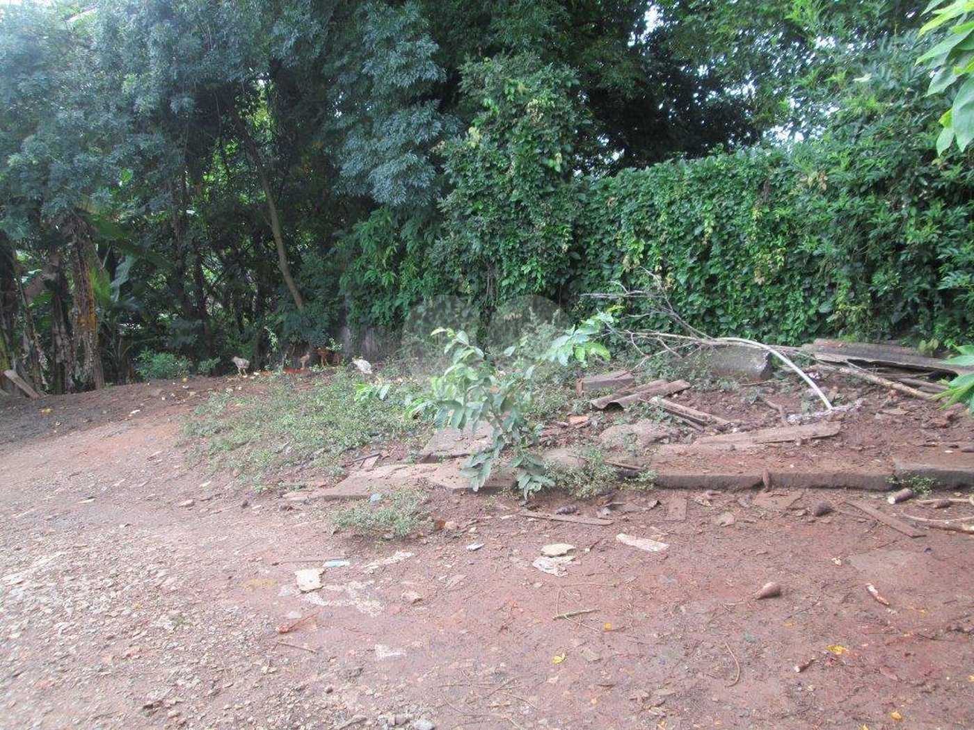 Terreno à venda em Palmas do Tremembé, São Paulo, SP