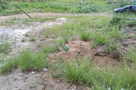 Terreno à venda em Santíssimo, Rio de Janeiro, RJ