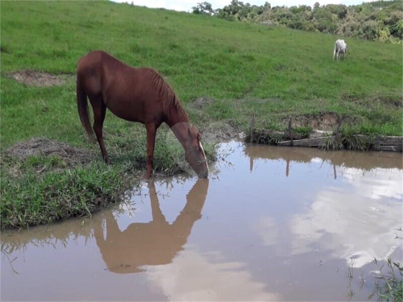 Área de Terra à venda em Área Rural de Monte Mor, Monte Mor, SP