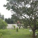 Casa à venda ou para alugar com 5 suítes em Jardim Leonor, São Paulo, SP