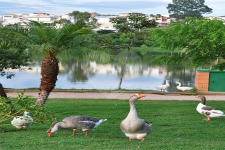 Terreno à venda no condomínio Ibiti do Paço, Sorocaba - SP