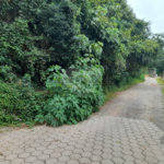 Terreno à venda em Serra da Cantareira, Mairiporã, SP