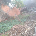Terreno à venda em Freguesia do Ó, São Paulo, SP