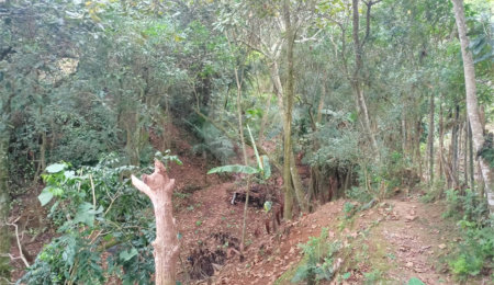 Terreno à venda em Vila Sol Nascente, Suzano, SP