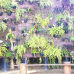 Casa à venda com 2 quartos, sendo 1 suíte, no condomínio Vinhas da Vista Alegre - Lado Sede, Vinhedo - SP