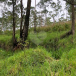 Terreno à venda no condomínio Gleba E1 E2, Mairiporã - SP