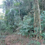 Terreno à venda no condomínio Sausalito, Mairiporã - SP