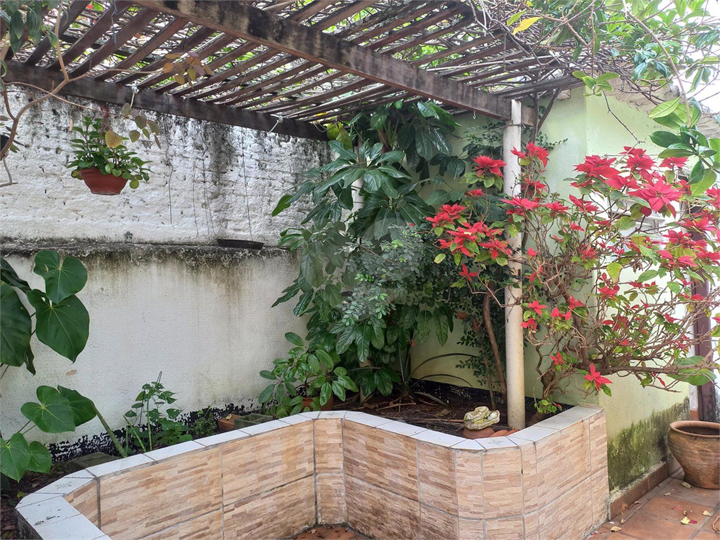Casa à venda ou para alugar com 2 quartos em Alto da Lapa, São Paulo, SP