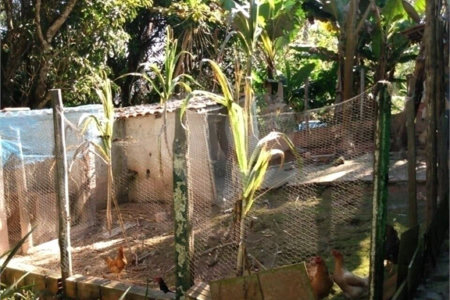 Chácara à venda com 8 quartos em Parque Piratininga, Itaquaquecetuba, SP