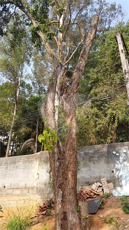 Terreno à venda em Tucuruvi, São Paulo, SP