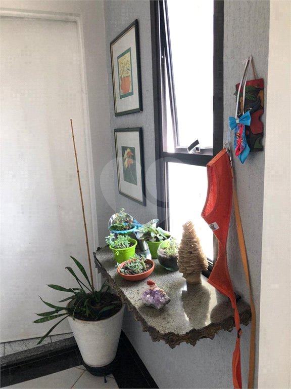Apartamento à venda com 3 quartos, sendo 1 suíte, em Vila Azevedo, São Paulo, SP
