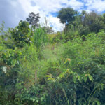 Terreno à venda em Jardim Estância Brasil, Atibaia, SP