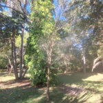 Chácara à venda com 2 quartos em Boa Vista, Salto de Pirapora, SP