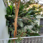 Sobrado à venda com 5 quartos, sendo 2 suítes,  em Tremembé, São Paulo, SP
