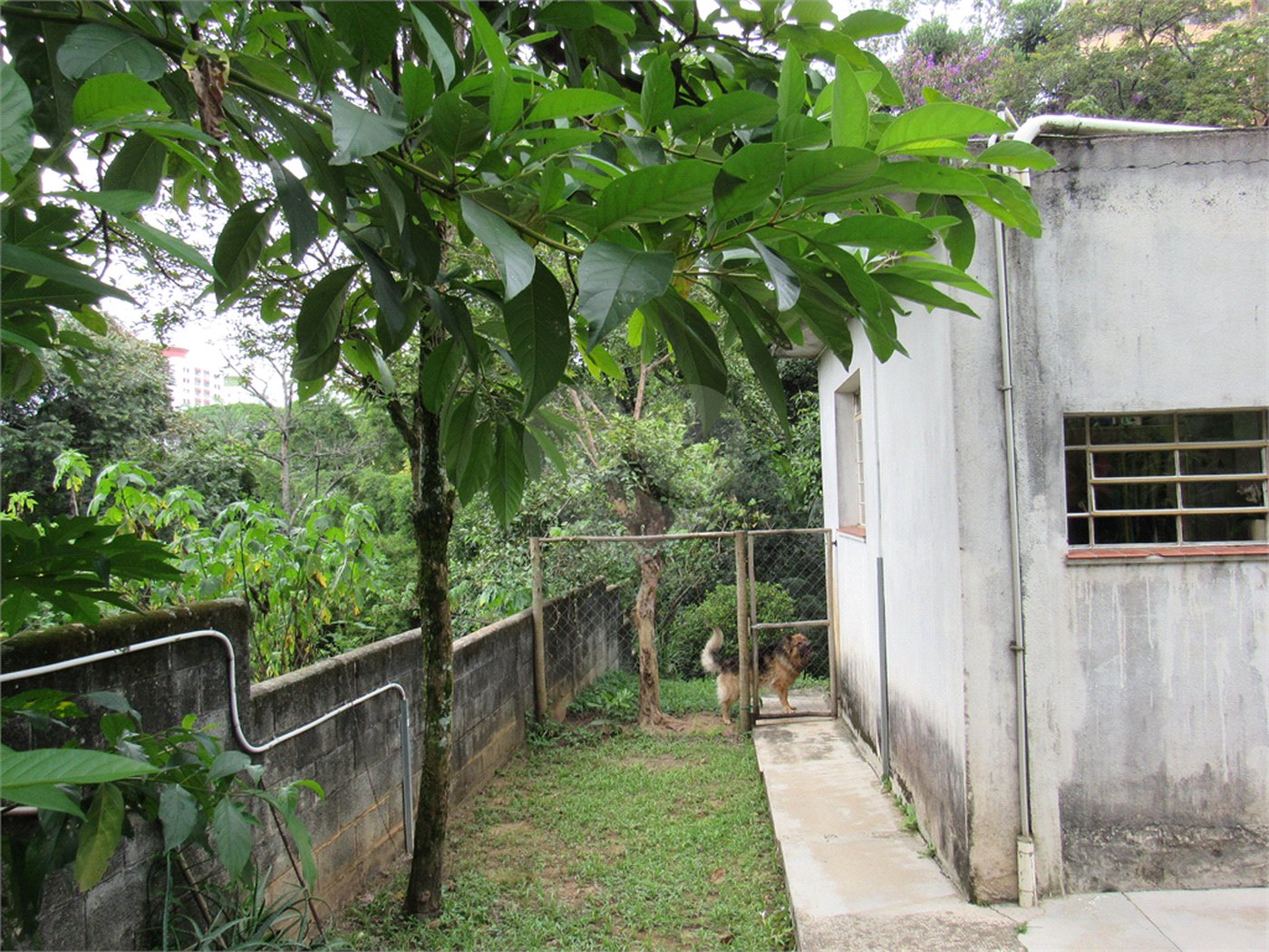 Sobrado à venda com 3 quartos em Tremembé, São Paulo, SP
