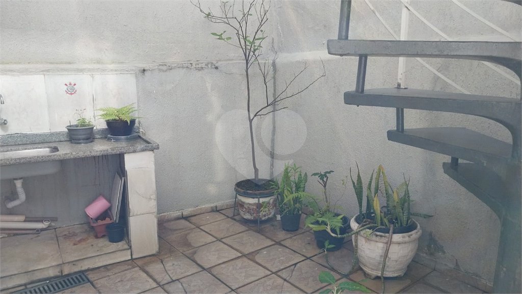 Sobrado à venda com 3 quartos em Vila Isolina Mazzei, São Paulo, SP