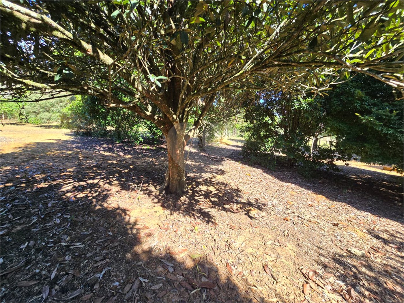 Chácara à venda com 4 quartos, sendo 1 suíte, em Cercadinho, Alambari, SP