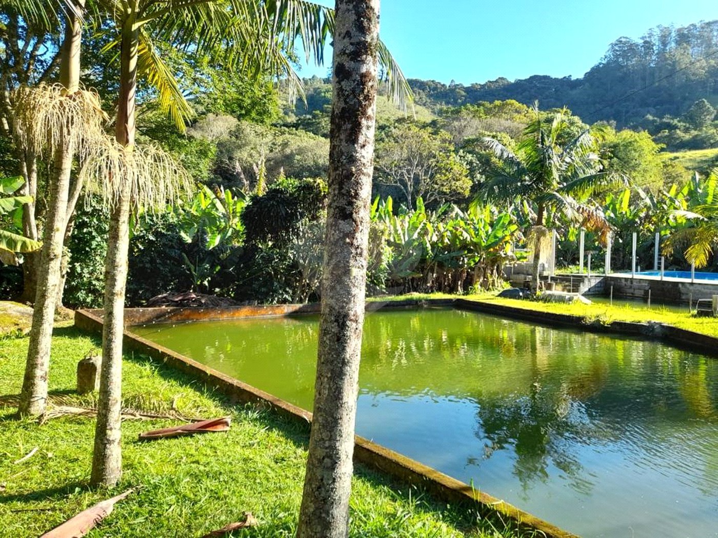 Sítio à venda com 4 quartos no Centro, Nazaré Paulista, SP