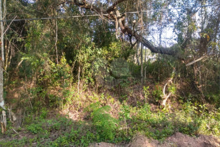 Terreno à venda em Granja Viana, Cotia, SP