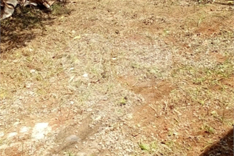Terreno à venda em Freguesia do Ó, São Paulo, SP