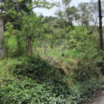 Chácara à venda com 2 quartos em Vila Caputera, Mogi das Cruzes, SP