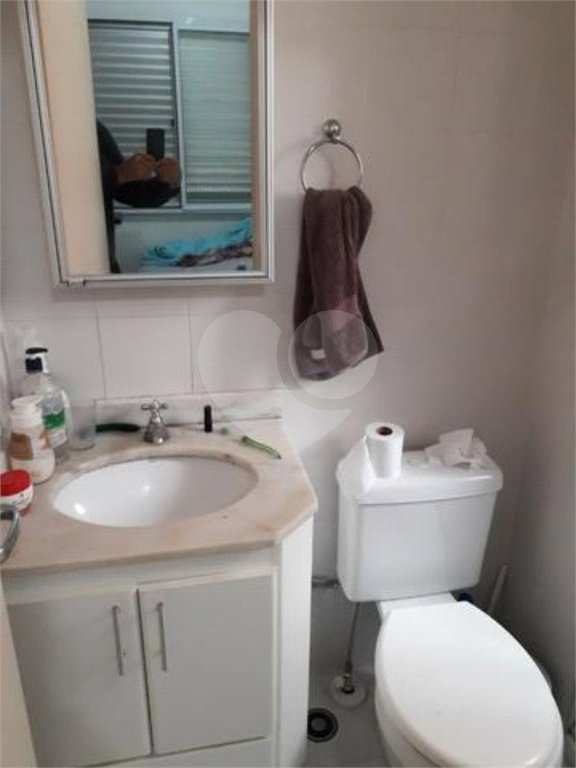 Apartamento à venda com 3 quartos, sendo 1 suíte, em Cambuci, São Paulo, SP
