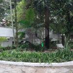 Apartamento à venda com 3 quartos em Tucuruvi, São Paulo, SP