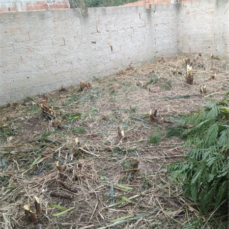 Terreno à venda em Campo Grande, Rio de Janeiro, RJ